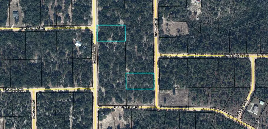 Lot 9 /15 Broom Avenue, Marianna, FL 32448 - #3