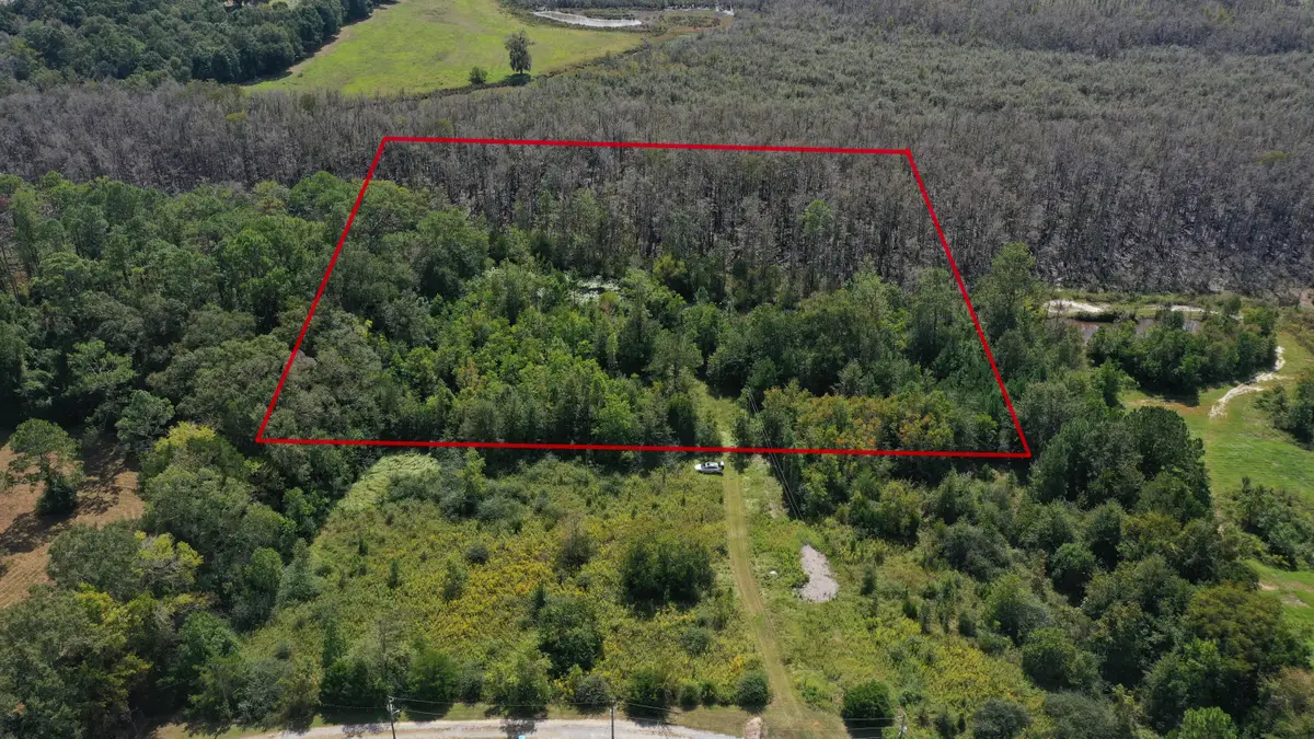 0000 Windy Lewis Road, Bonifay, FL 32425 - #1