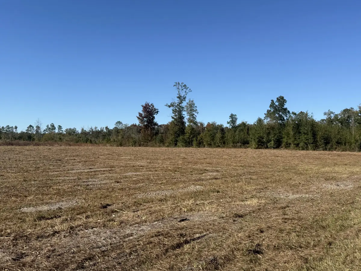 Lot 1 Hwy 71, Wewahitchka, FL 32465 - #1