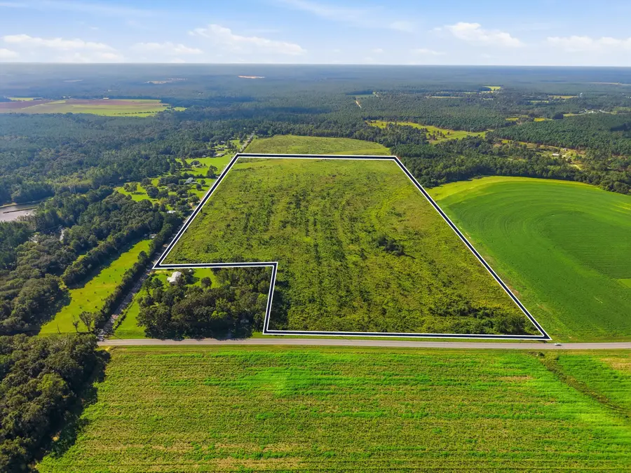 89.6 Acres Co Hwy 2a Road, Defuniak Springs, FL 32433 - #2