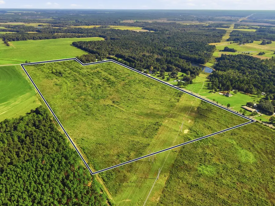 89.6 Acres Co Hwy 2a Road, Defuniak Springs, FL 32433 - #3