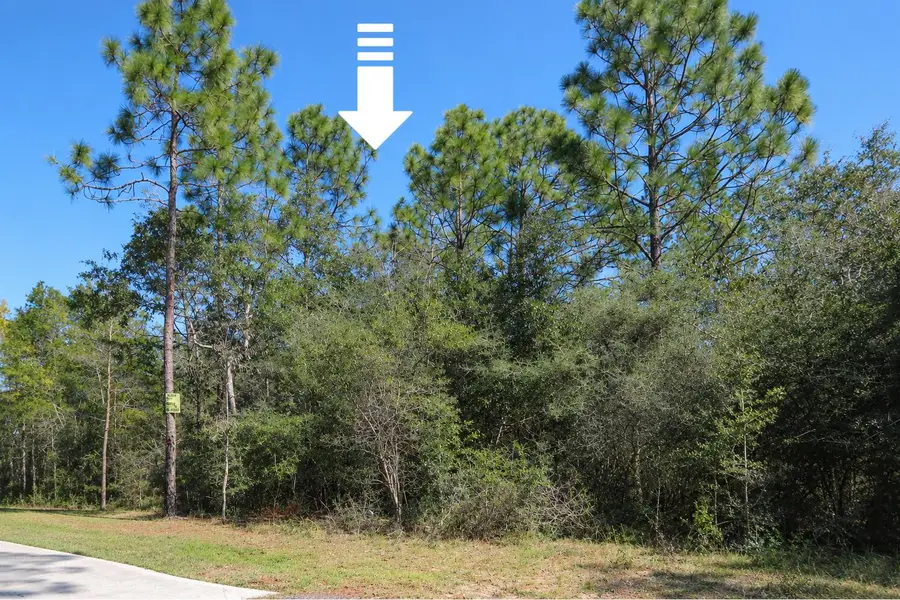 Lot 31 Botticelli Court, Defuniak Springs, FL 32433 - #2