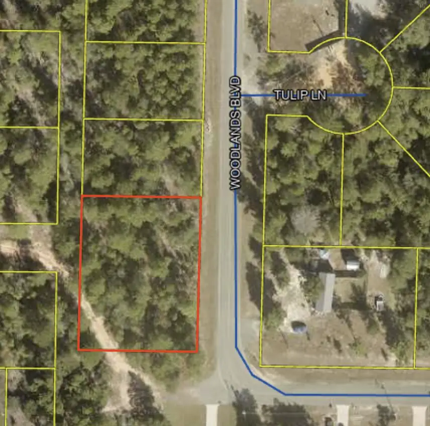 39-40 Woodlands Boulevard, Defuniak Springs, FL 32433 - #1