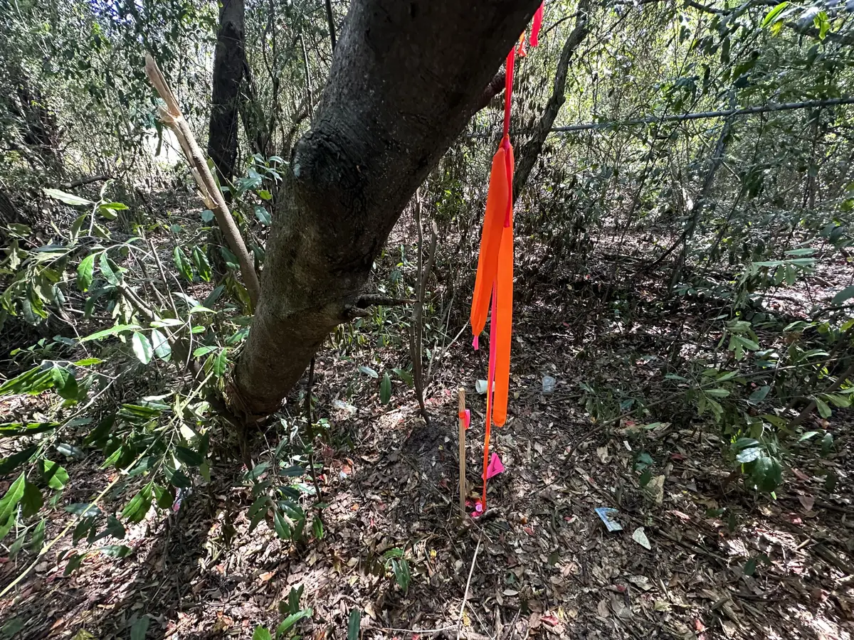 3 Lots Ridge Drive, Crestview, FL 32536 - #1