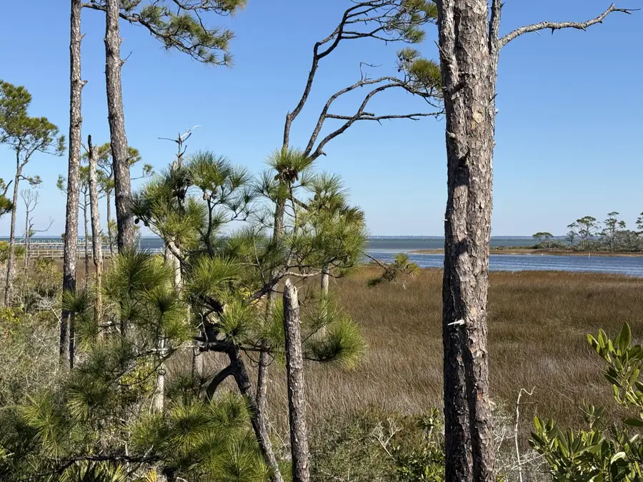 TBD Cape San Blas Road, Cape San Blas, FL 32456 - Image #3