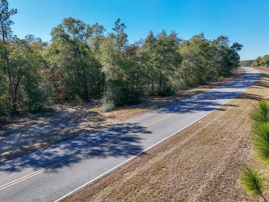 0.46 Williams Road, Defuniak Springs, FL 32433 - Image #3