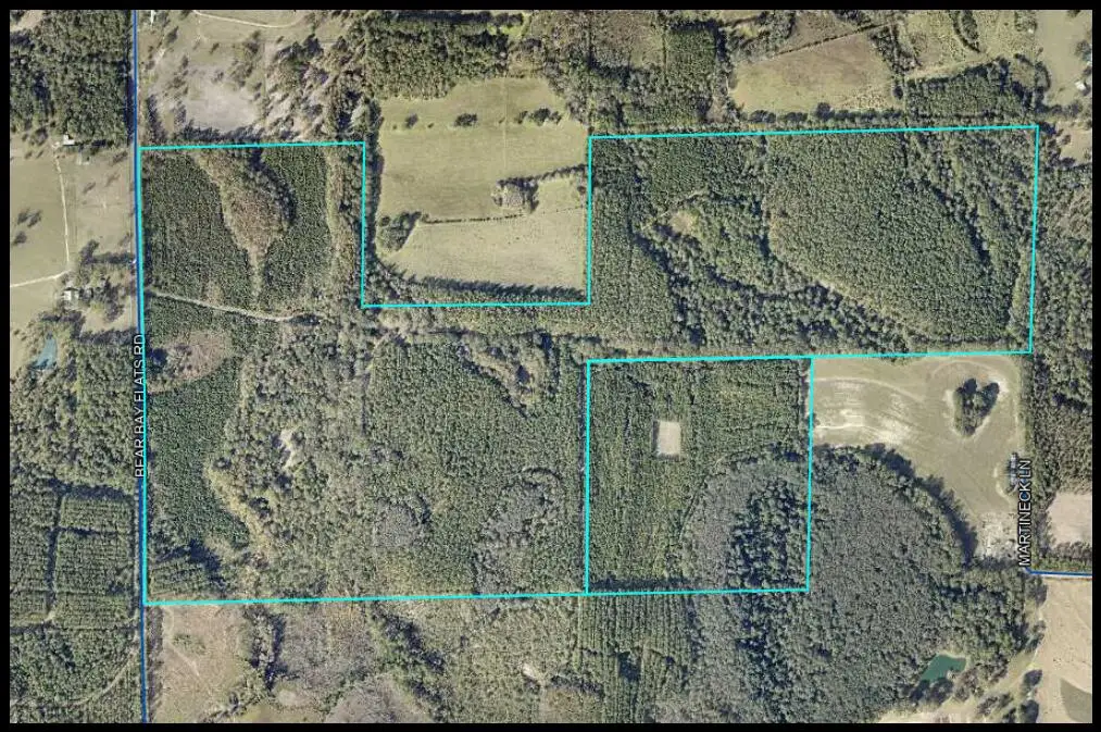 XXX Bear Bay Flats Road, Laurel Hill, FL 32567 - #1