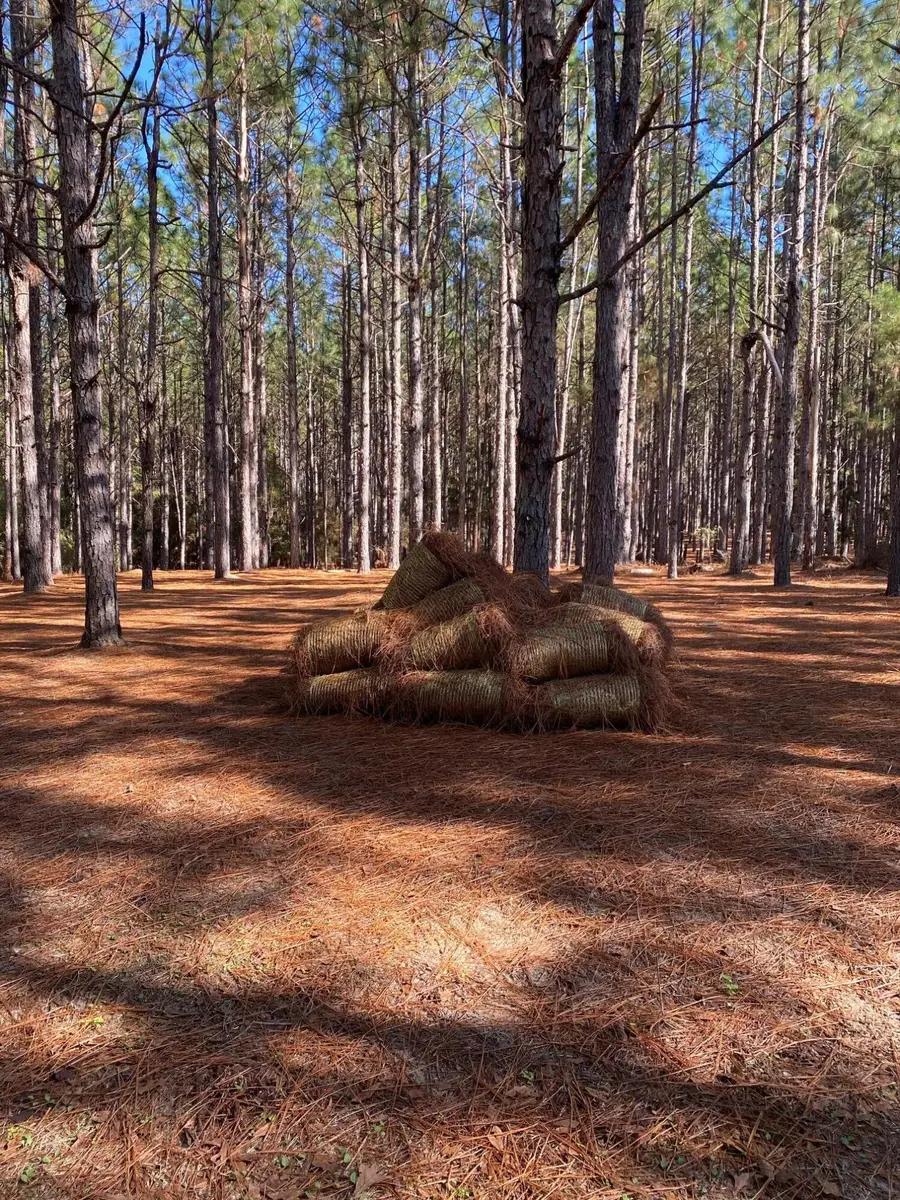 XXX Bear Bay Flats Road, Laurel Hill, FL 32567 - #2