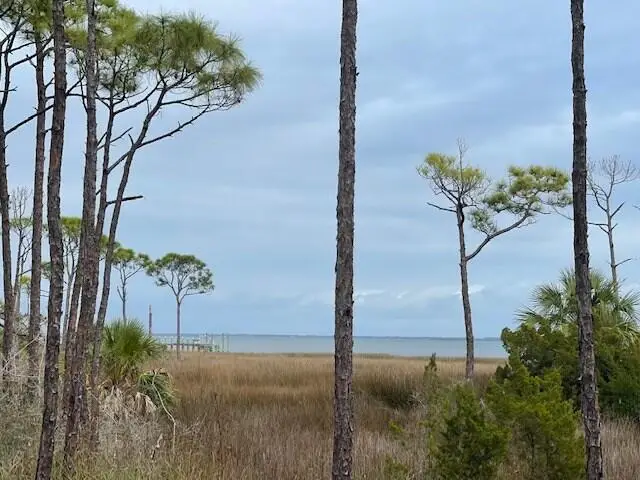 Lot 6 Cape San Blas Rd, Cape San Blas, FL 32456 - Image #1