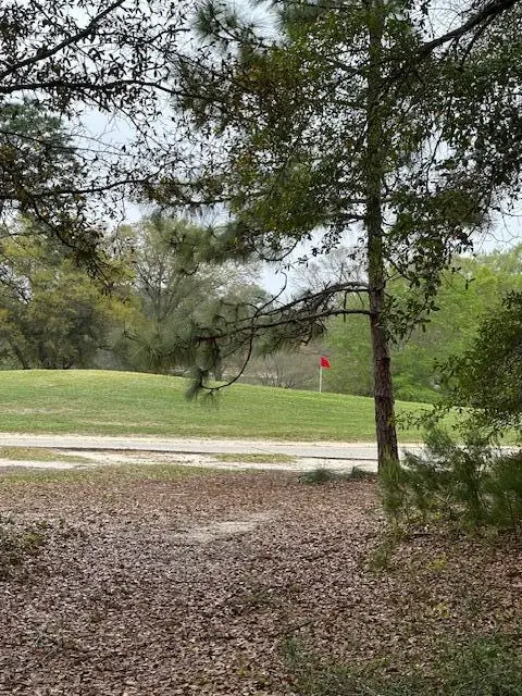 446 Marion Drive, Niceville, FL 32578 - Image #3