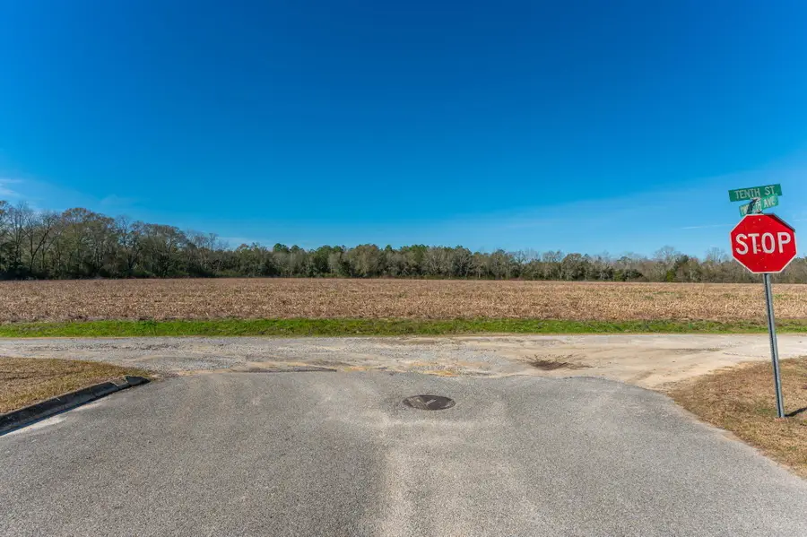 56 Lots 10th Street, Florala, AL 36442 - Image #2