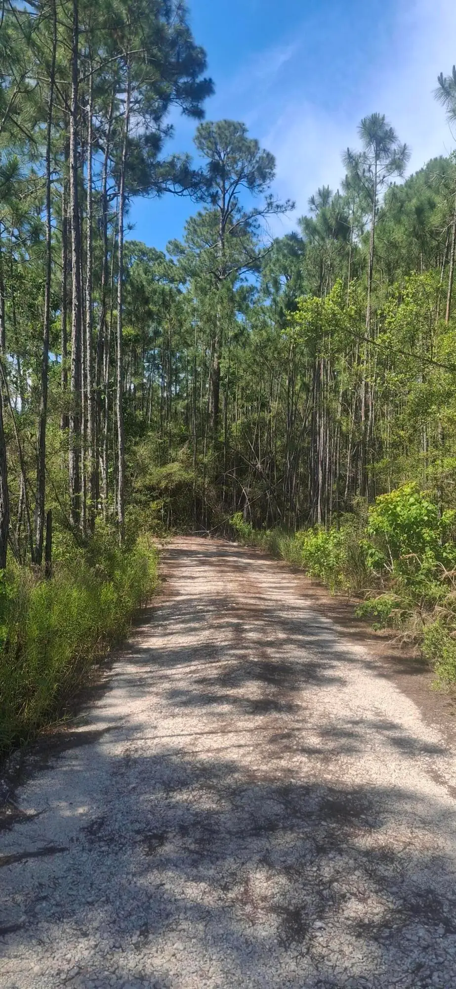 lot 12 W Nursery Road, Santa Rosa Beach, FL 32459 - #1