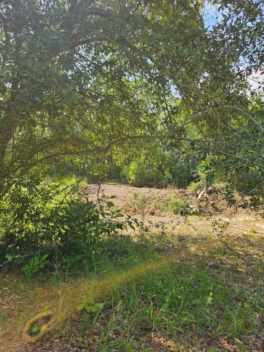 4957 Timothy Twitchell Drive, Milton, FL 32583 - Image #3