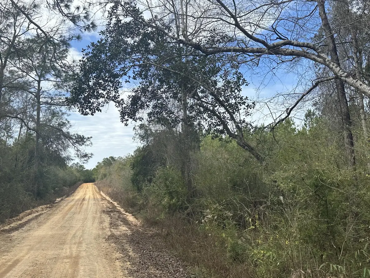 Tract#6301 W Love Road, Bonifay, FL 32425 - #1