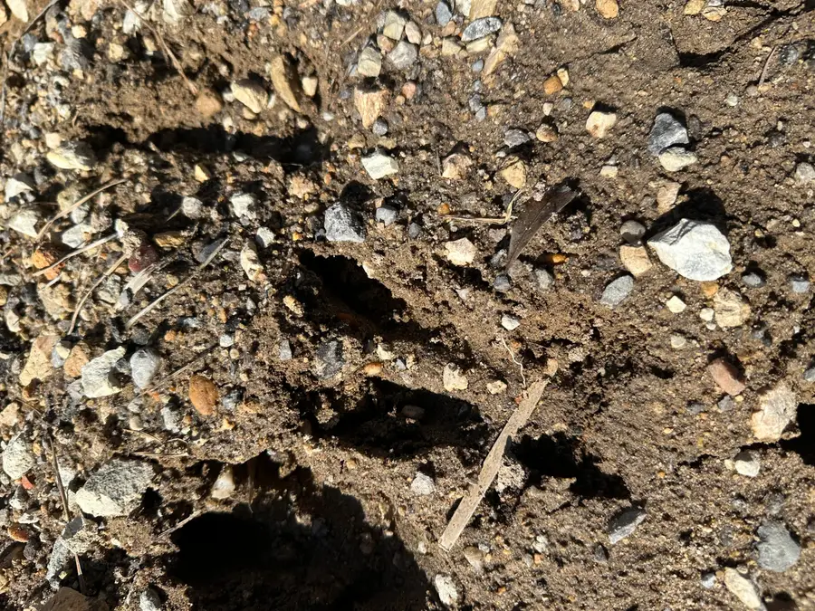 Tract#6402 N Chance Road, Chipley, FL 32428 - #2