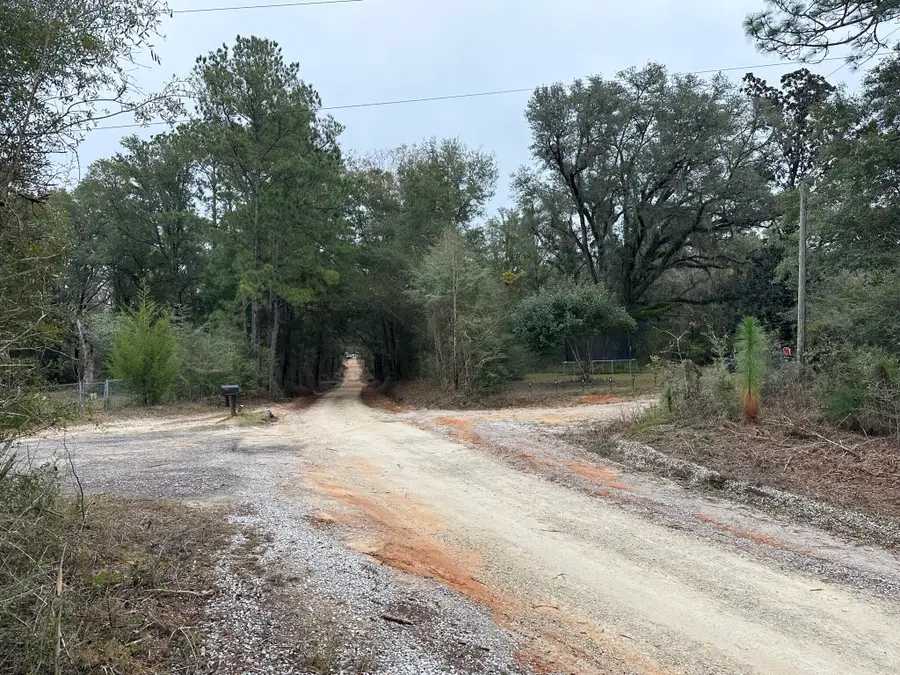 Tract#6418 Bryant Bay Road, Caryville, FL 32427 - #3