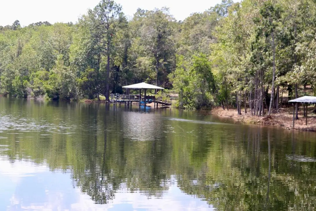 261 Wilkerson Road, Defuniak Springs, FL 32433 - Image #1