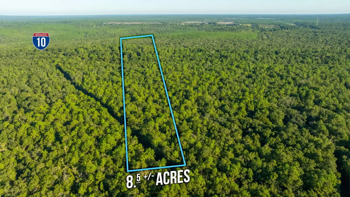 8.5 Acres Lyons Place, Holt, FL 32564 - #1