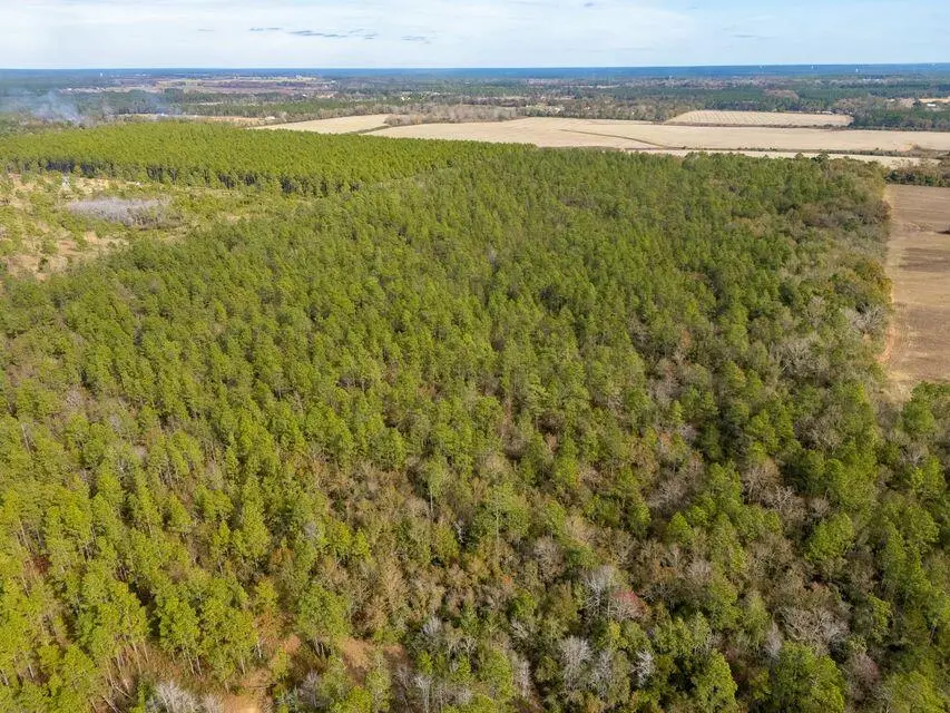 0000 N Bob Brooks Road, Baker, FL 32531 - #3