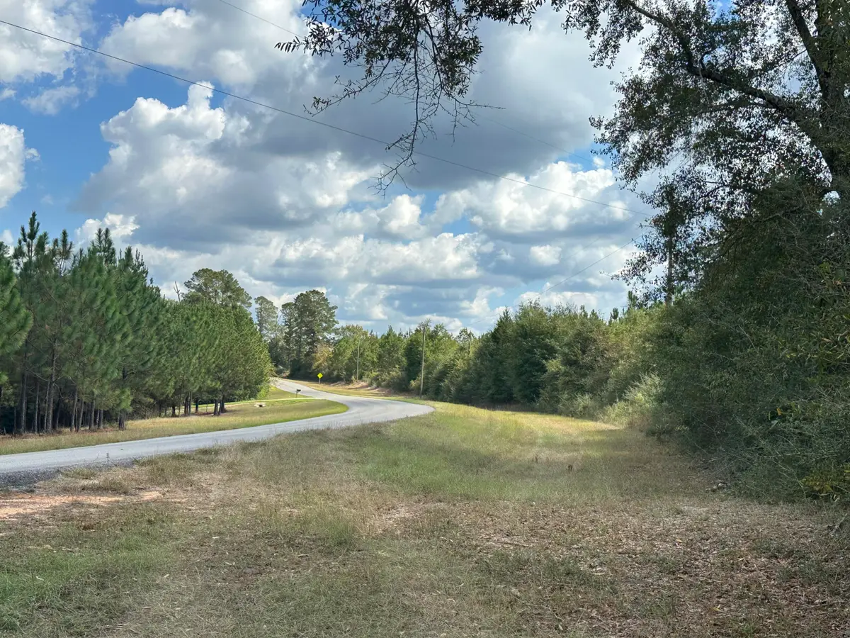 A-E New Ebenezer Road, Laurel Hill, FL 32567 - Image #1