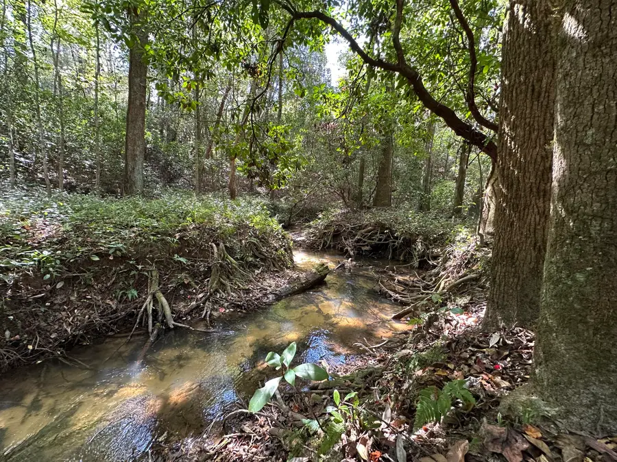 A-E New Ebenezer Road, Laurel Hill, FL 32567 - Image #2