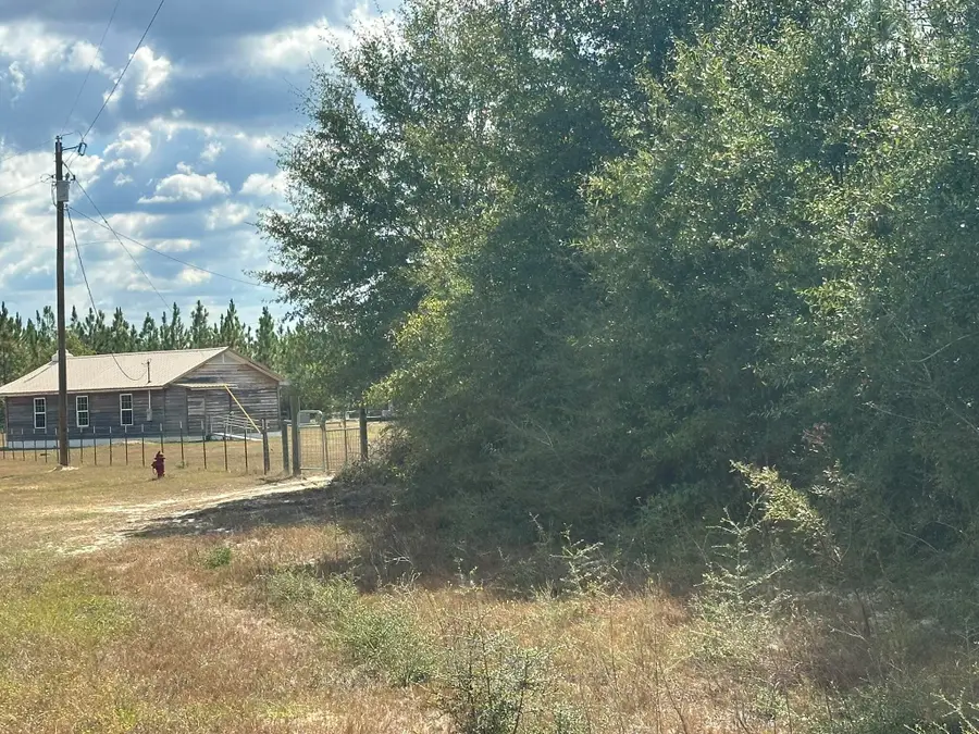 Parcel A New Ebenezer Road, Laurel Hill, FL 32567 - Image #3