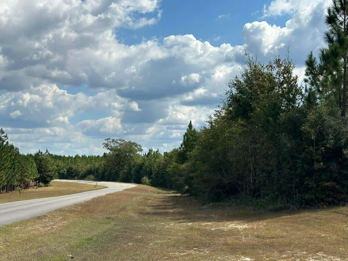 Parcel E New Ebenezer Road, Laurel Hill, FL 32567 - Image #1