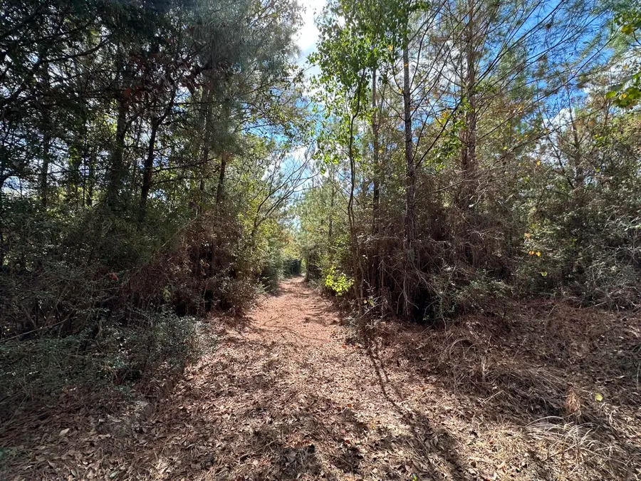 Parcel E New Ebenezer Road, Laurel Hill, FL 32567 - Image #2