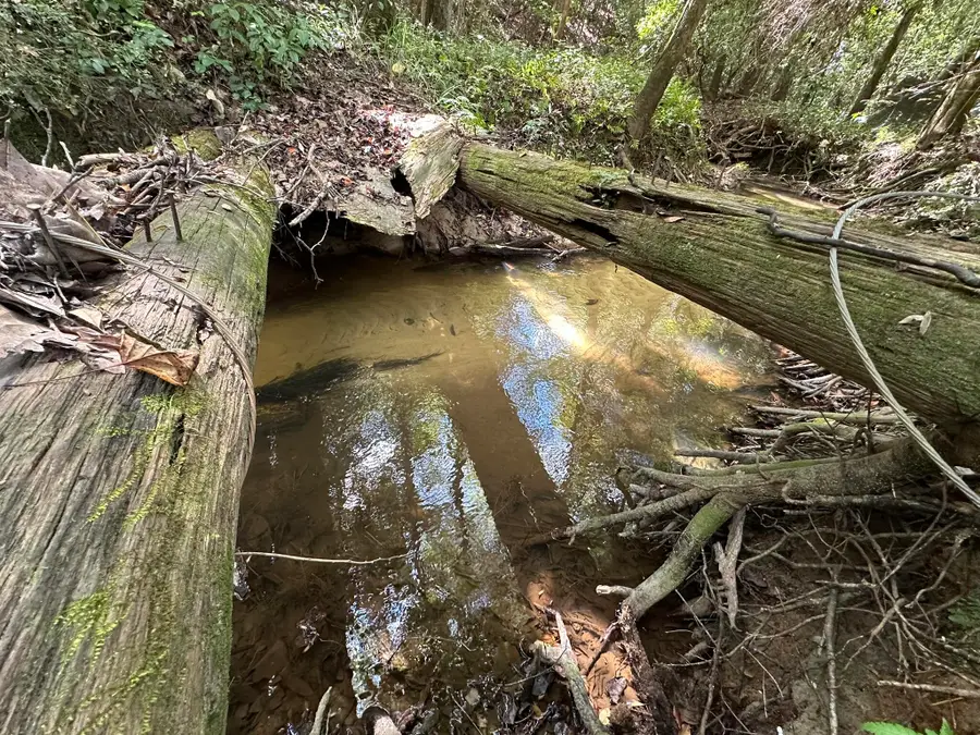 Parcel E New Ebenezer Road, Laurel Hill, FL 32567 - Image #3