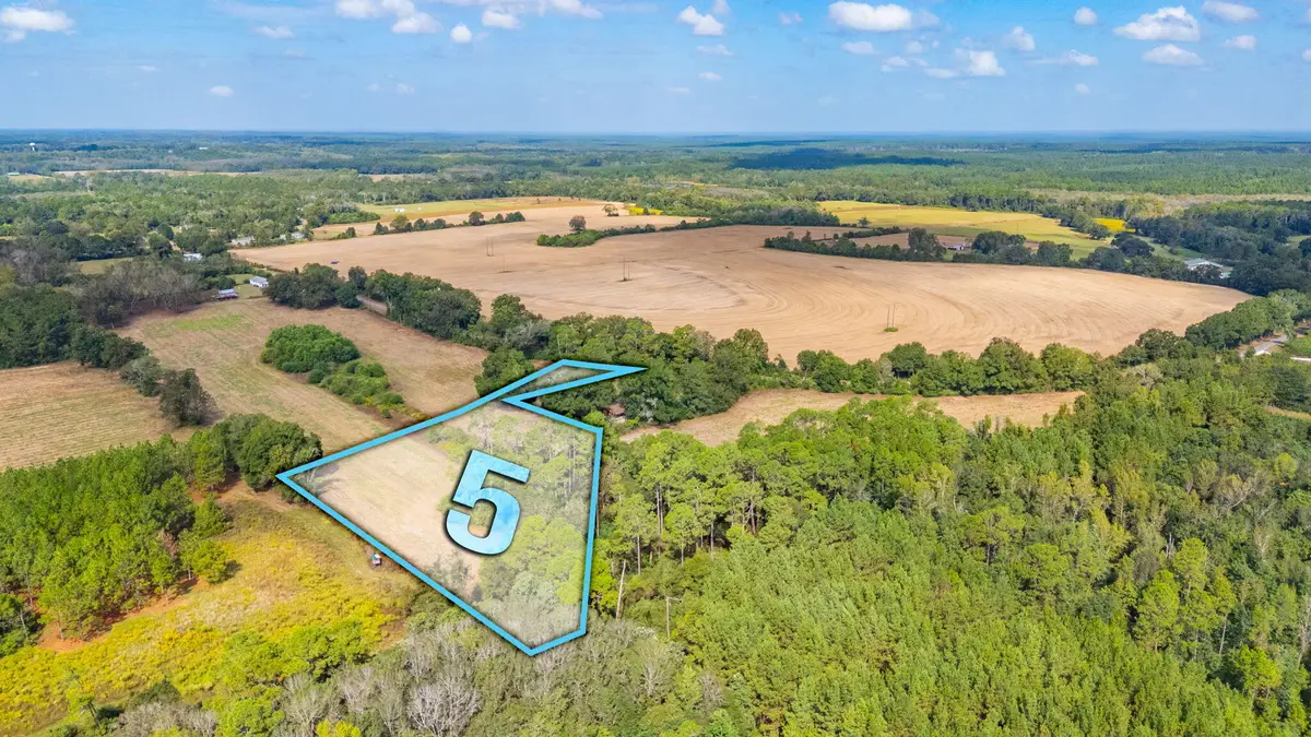 5 Acre Prescott Rd, Florala, AL 36442 - Image #1