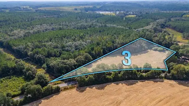3 Acre -C Prescott Rd, Florala, AL 36442 - Image #1