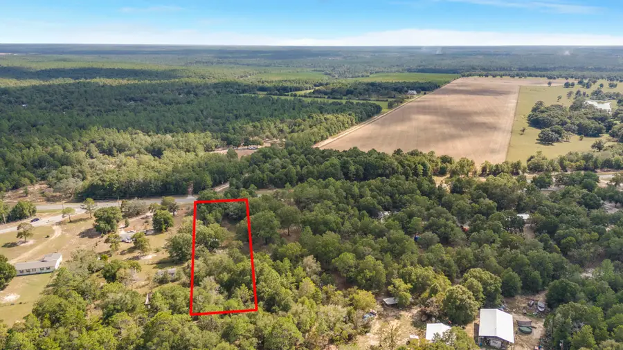 5751 County Road 1087, Defuniak Springs, FL 32433 - Image #2