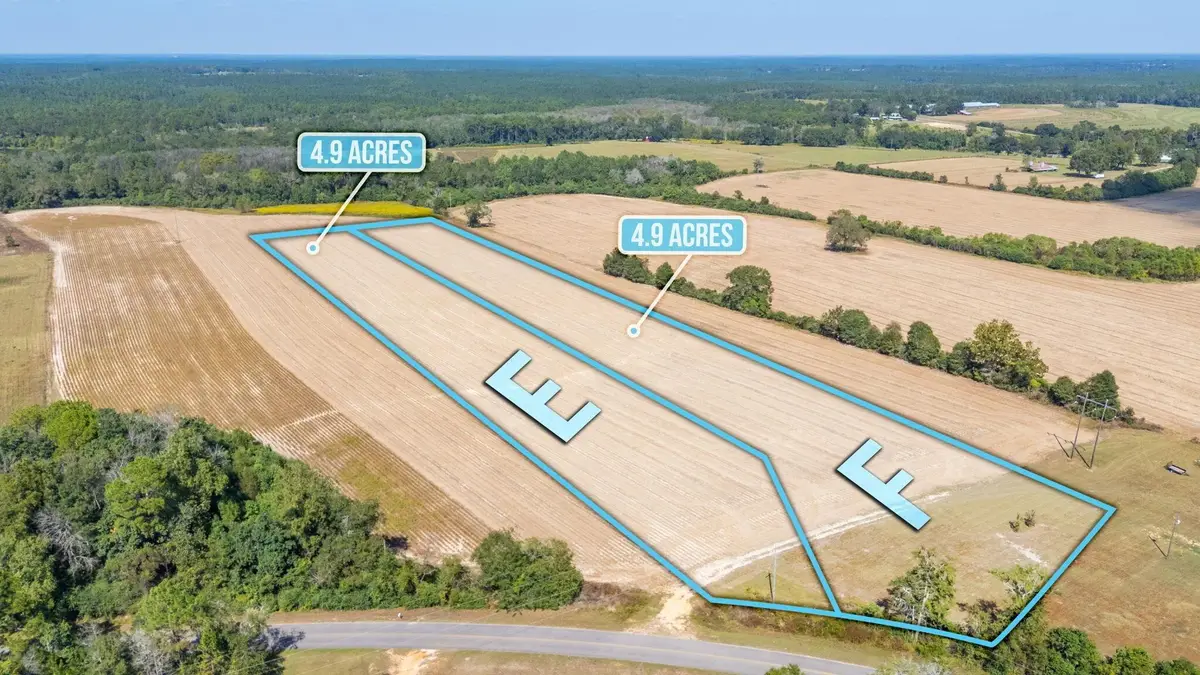 4.91E Acre Mcphail Farm Road, Florala, AL 36442 - Image #1