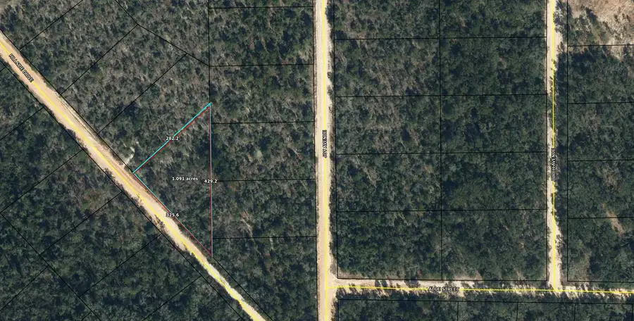 Lot 10 Hillside Drive, Marianna, FL 32448 - Image #2