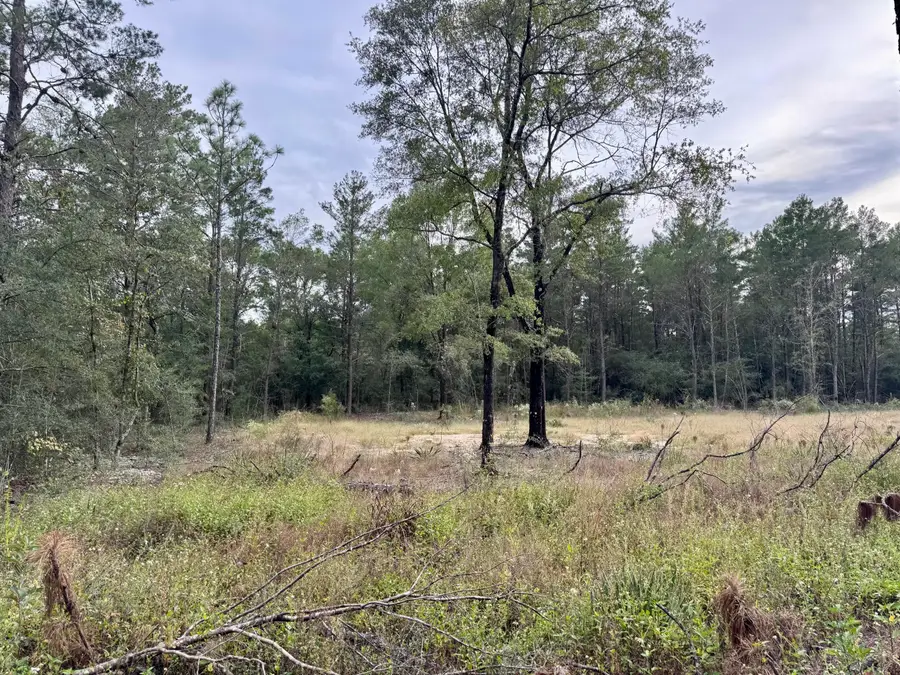 Lot 23 E Dogwood Avenue, Defuniak Springs, FL 32433 - Image #3