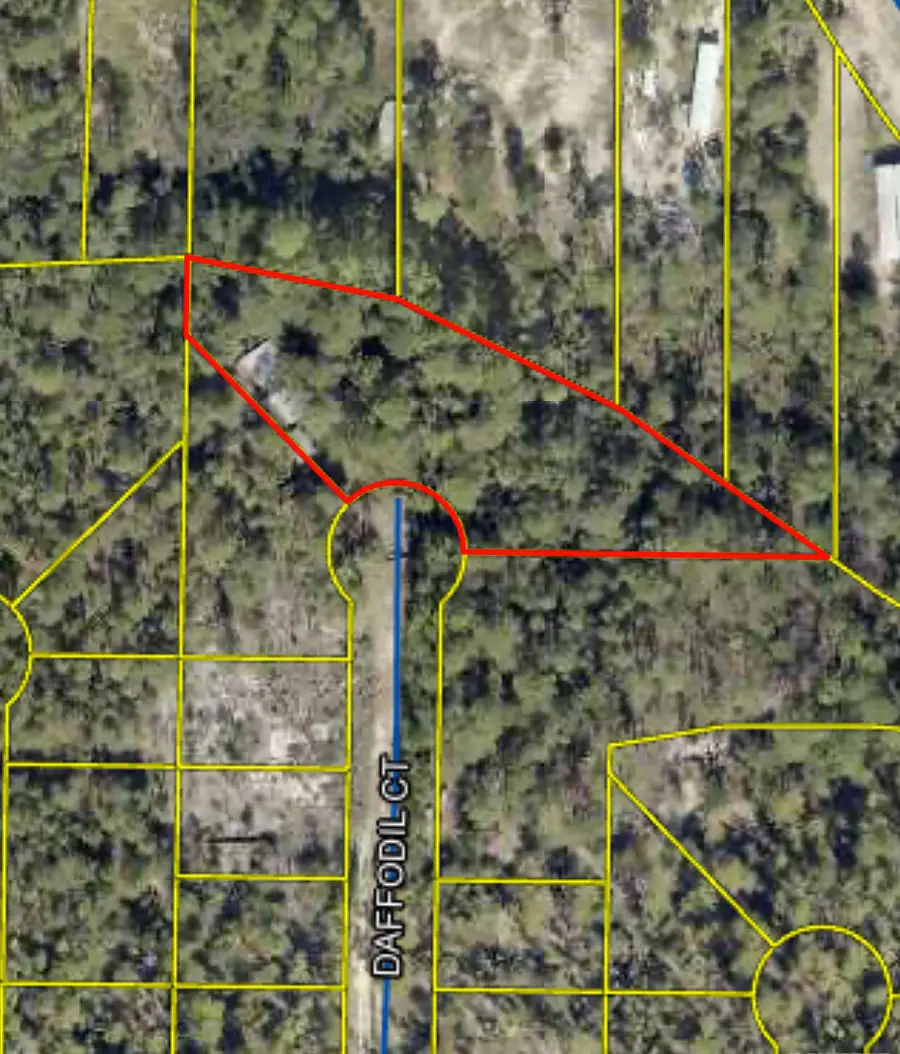 103 Daffodil Court, Defuniak Springs, FL 32433 - Image #3