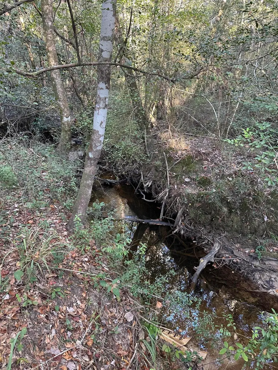 20.25 Strickland Road, Defuniak Springs, FL 32435 - Image #3