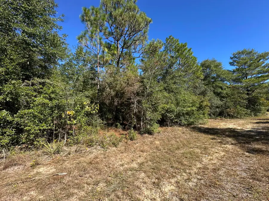 Parcel B Bear Head Road, Crestview, FL 32539 - Image #2