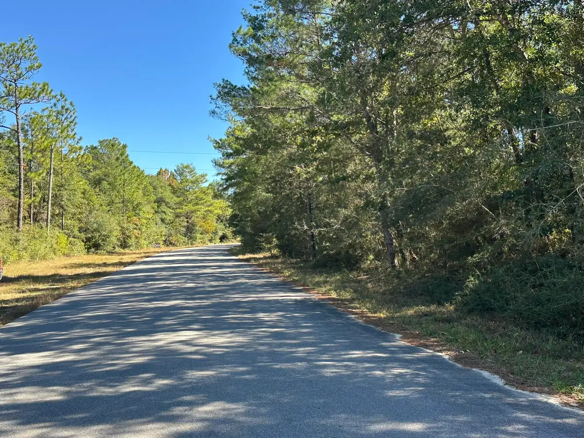 TBD Bear Head Road, Crestview, FL 32539 - Image #1