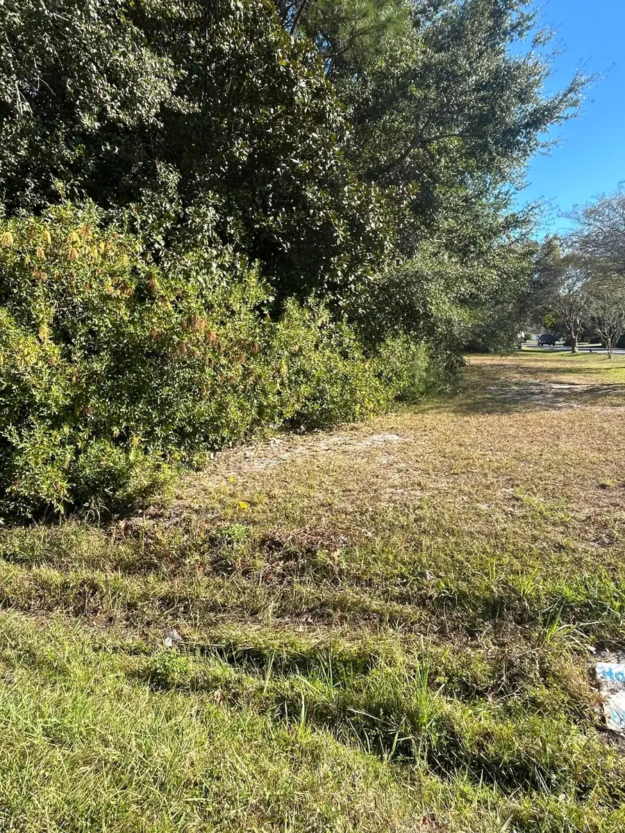 43 Indian Bay Drive, Freeport, FL 32439 - Image #3