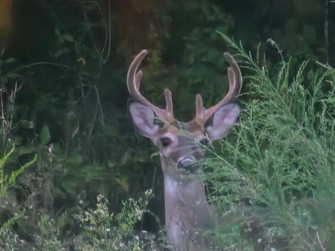 2386 Hwy 179a, Westville, FL 32464 - Image #1