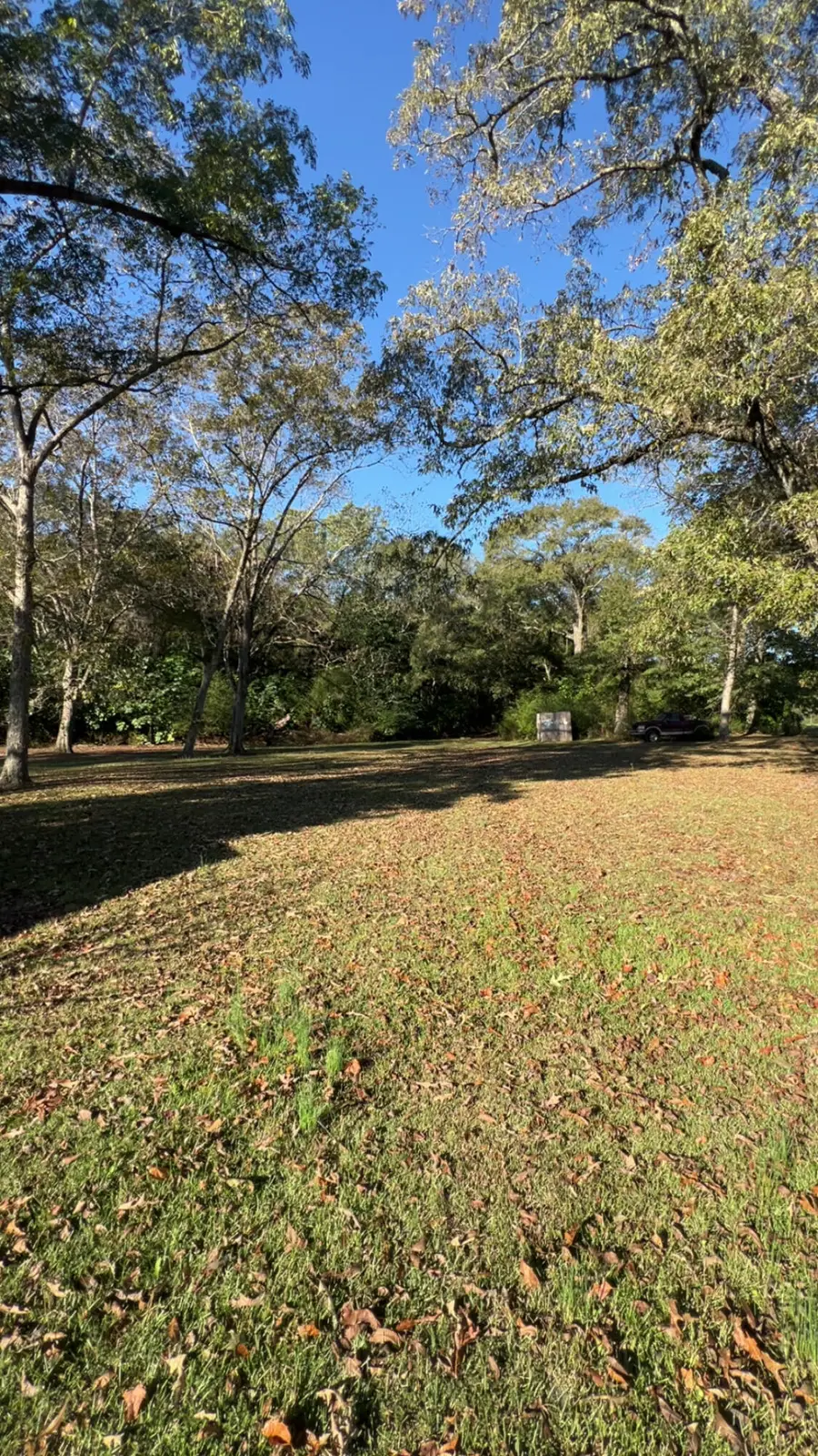 8092 Highway 393, Laurel Hill, FL 32567 - Image #3