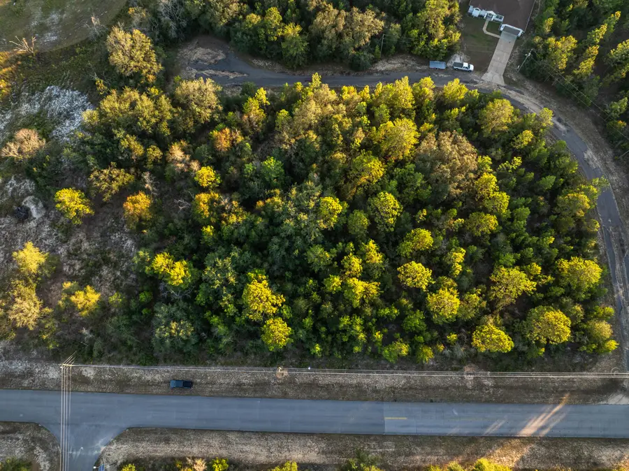 XXXXXX Shenandoah Lot 19, Chipley, FL 32428 - Image #3