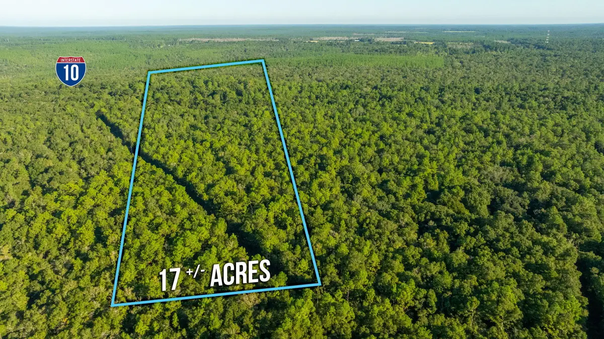 17 Acres Lyons Place, Holt, FL 32564 - Image #1