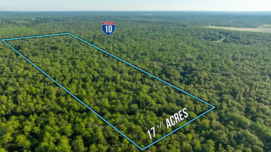 17 Acres Lyons Place, Holt, FL 32564 - #3