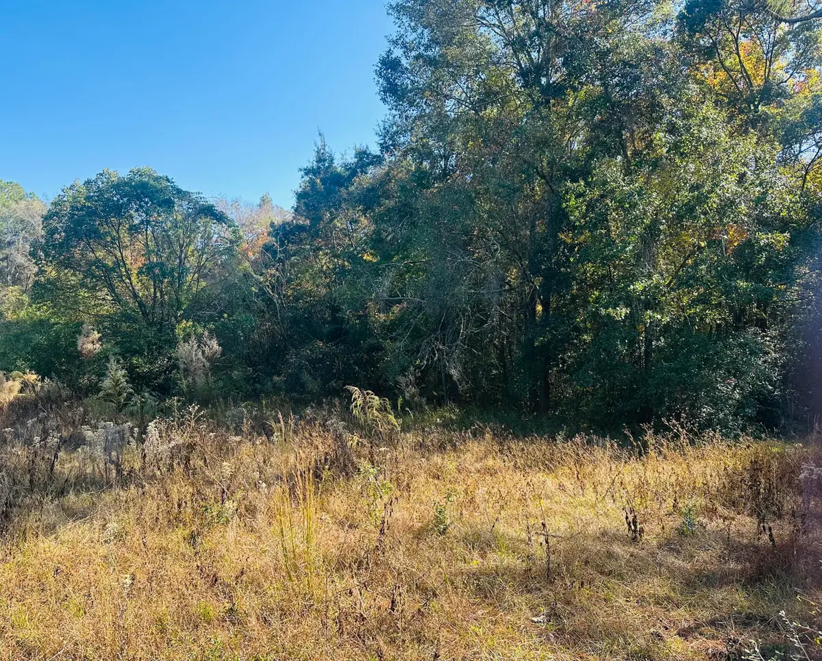 TBD Douglass Avenue, Defuniak Springs, FL 32435 - Image #1