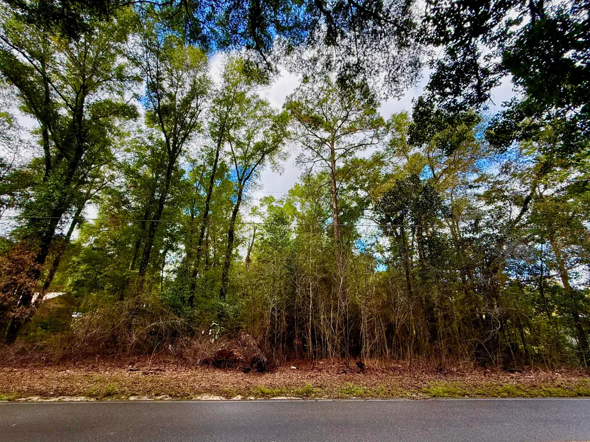 Lot 3 N Norwood Road, Defuniak Springs, FL 32433 - Image #1