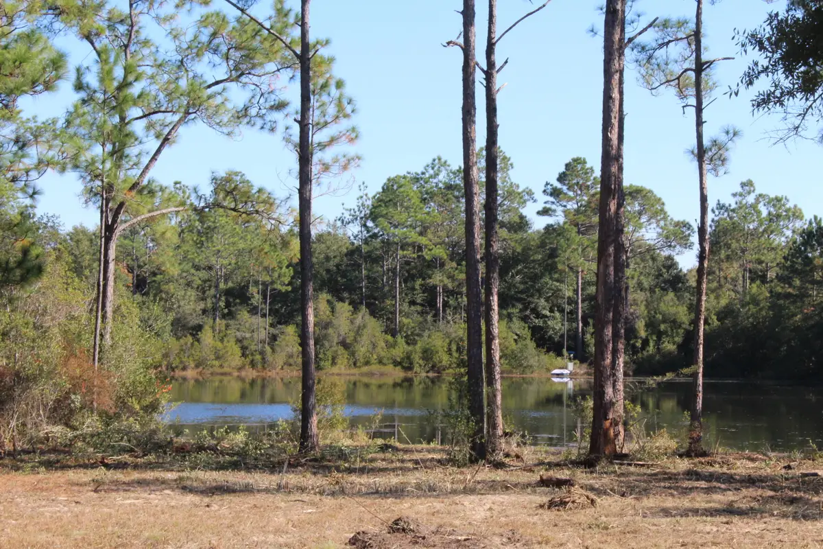 lot 28 E Michaelang Lo Road, Defuniak Springs, FL 32433 - Image #1