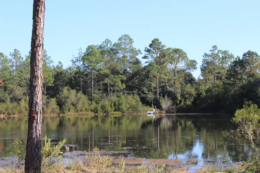 lot 28 E Michaelang Lo Road, Defuniak Springs, FL 32433 - Image #2