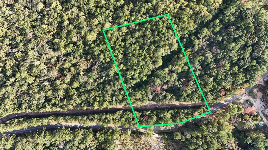 1.25 AC Pleasant Ridge Road, Defuniak Springs, FL 32435 - Image #3